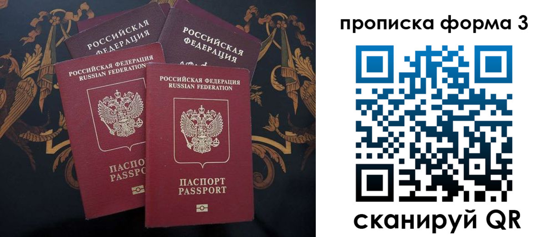 прописка законно в Змеиногорске